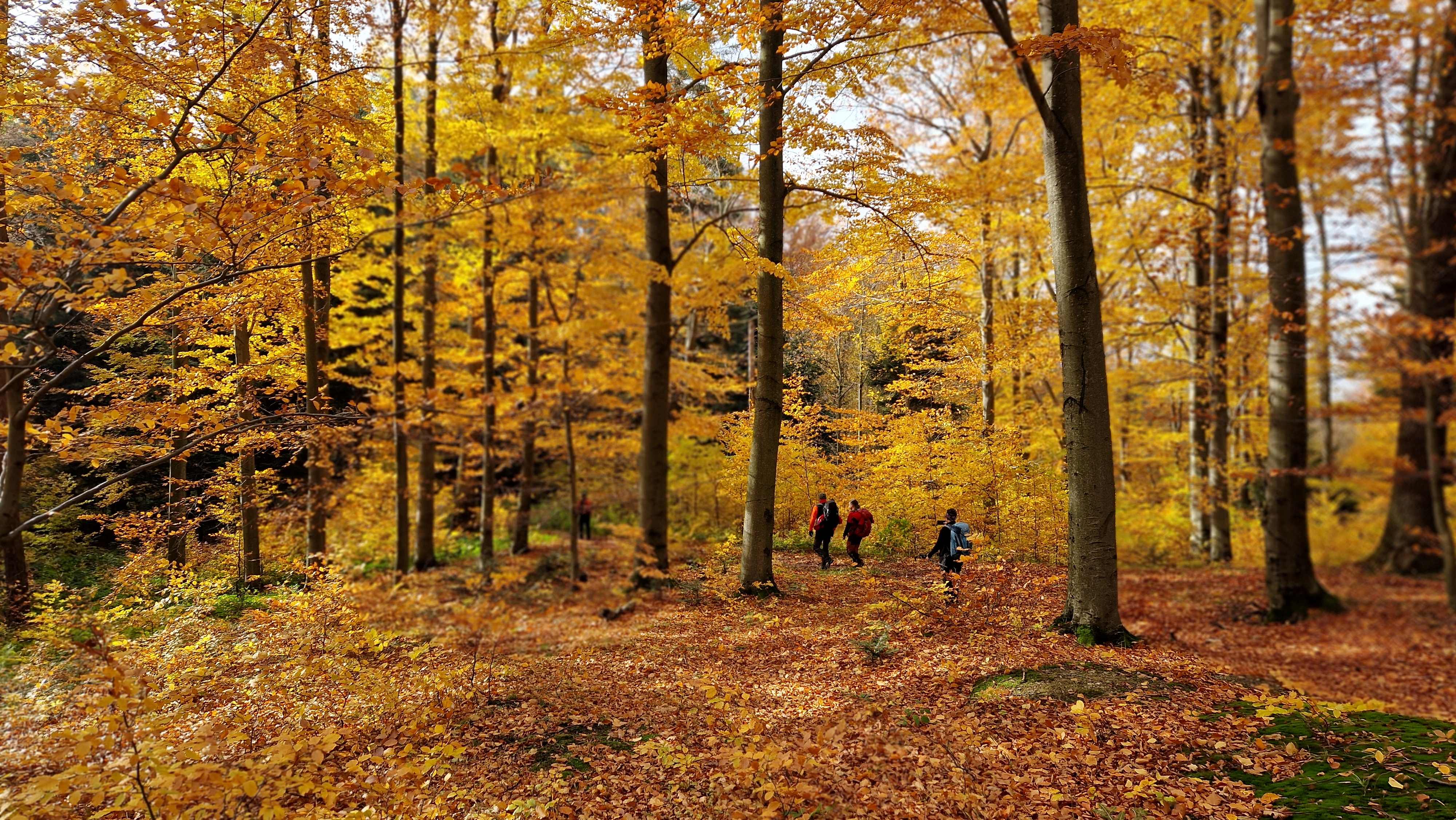 04.12.2025 Ścieżka przyrodnicza - Bratkowice